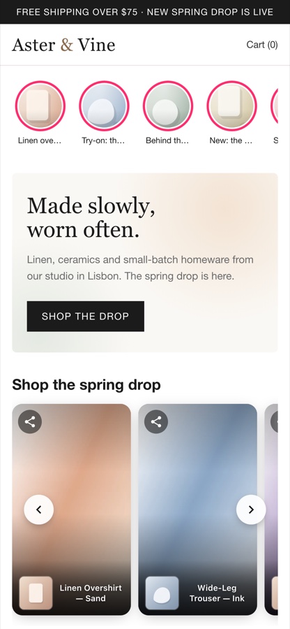 The same storefront on a phone: story circles and carousel cards with product chips.
